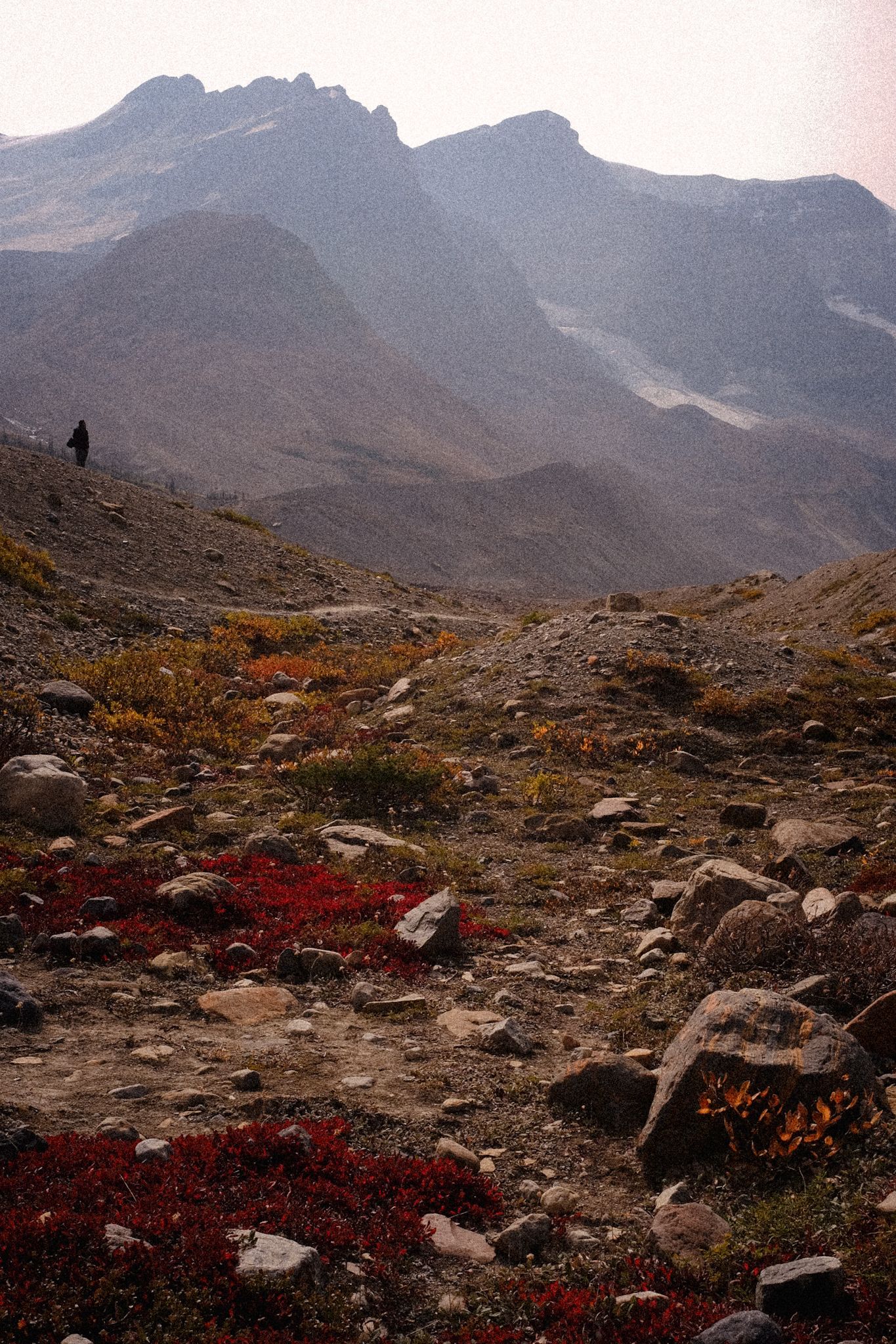 Photograph, trail